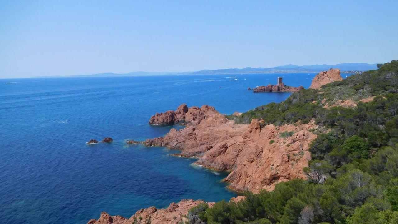 Grand Appartement Dans Maison Avec Piscine Privee Fréjus エクステリア 写真